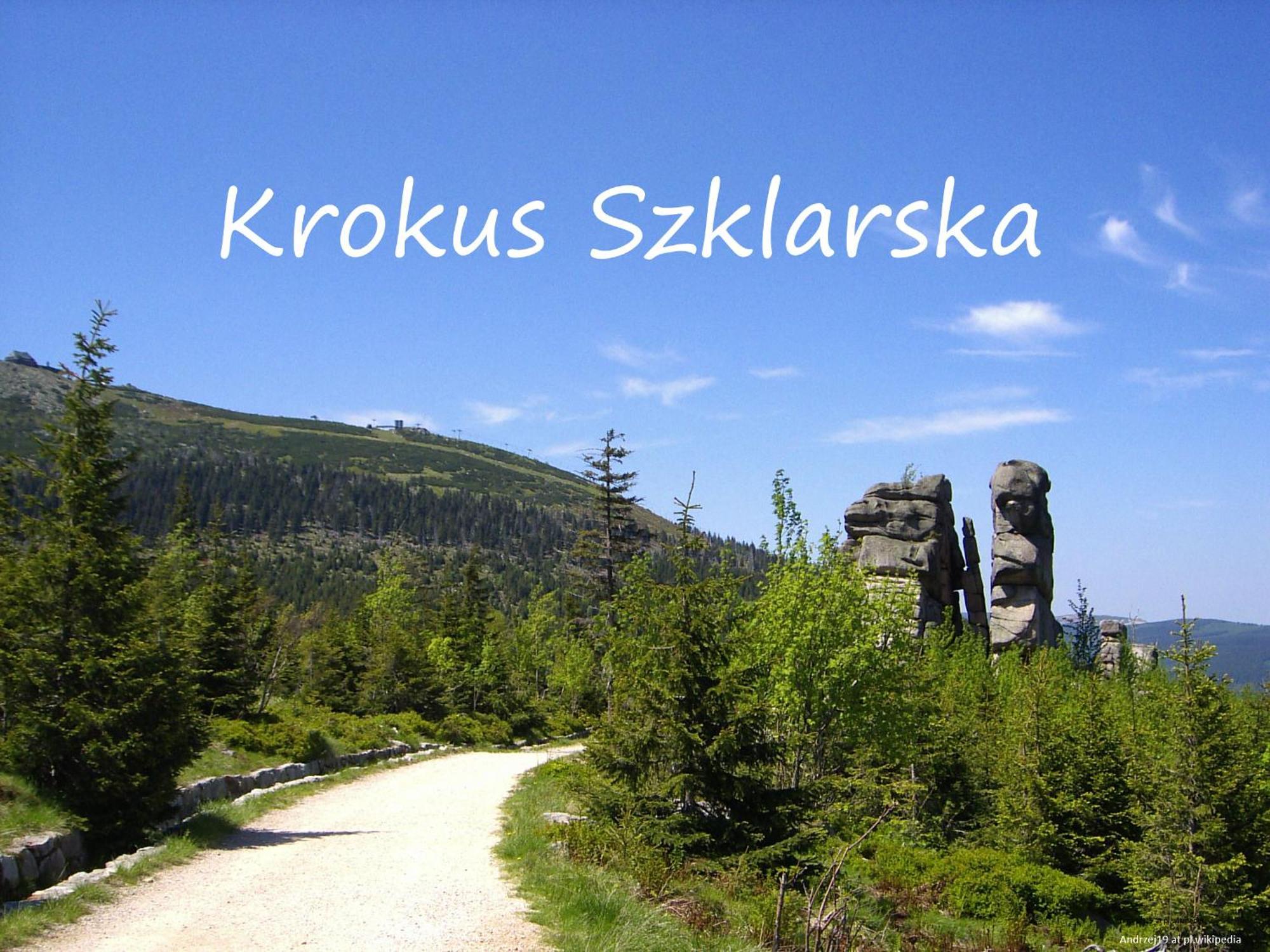 Apartament Krokus Szklarska Шклярска Поремба Екстериор снимка